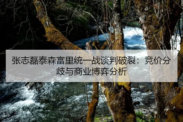 张志磊泰森富里统一战谈判破裂：竞价分歧与商业博弈分析